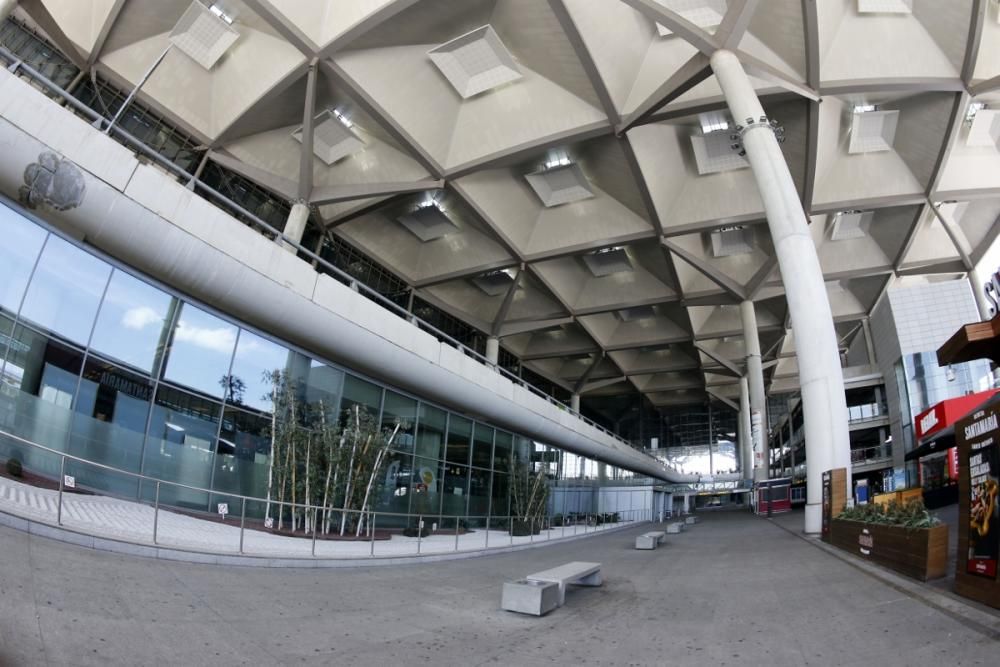 El Aeropuerto de Málaga completamente vacío por el coronavirus.