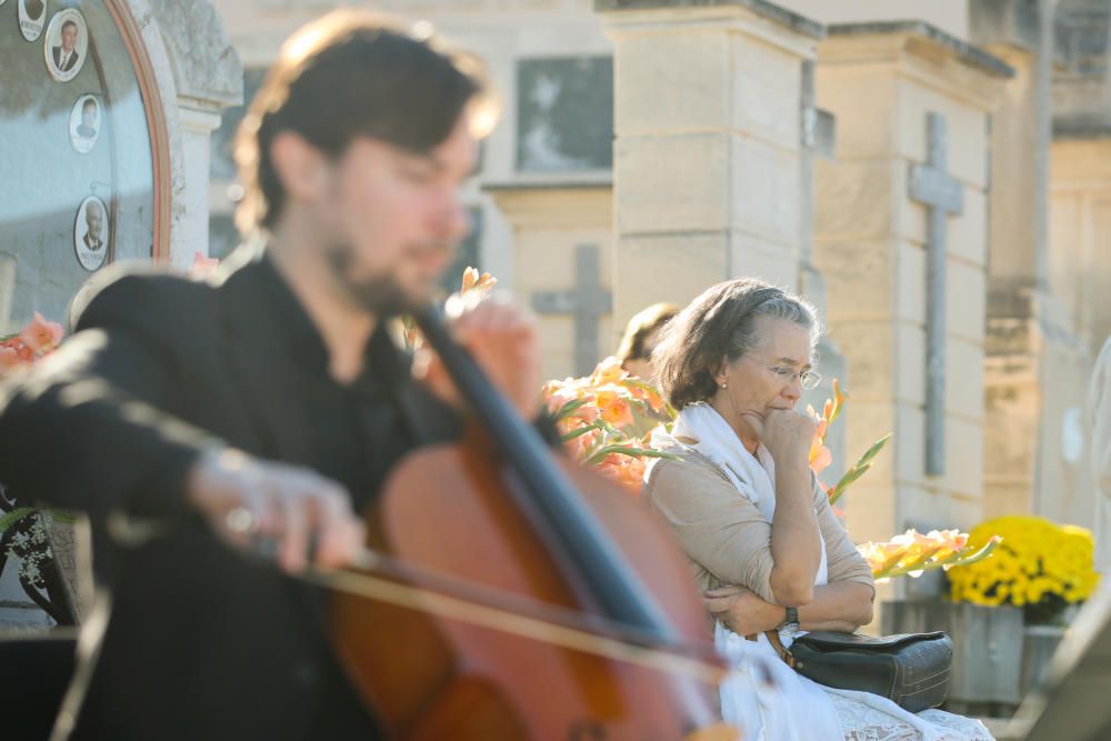 25.000 Leute suchen zu Allerheiligen den Friedhof in Palma auf