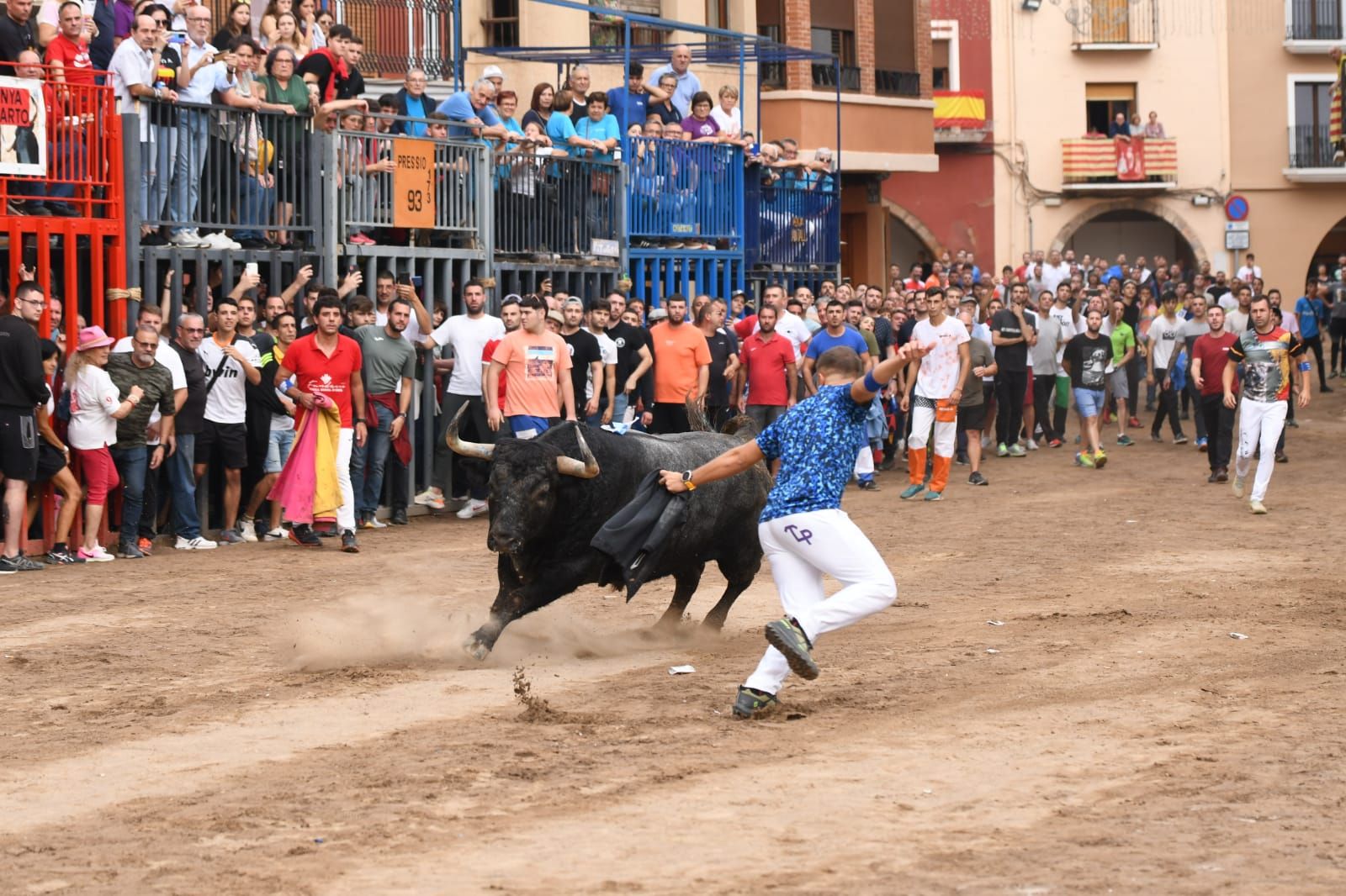 Exhibición de cuatro toros de Partida Resina en Onda