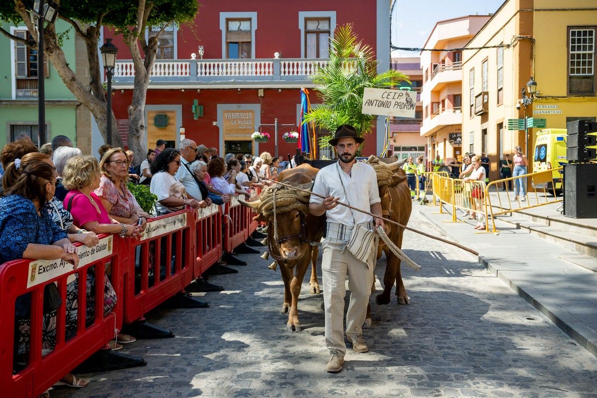 Romería infantil de Gáldar