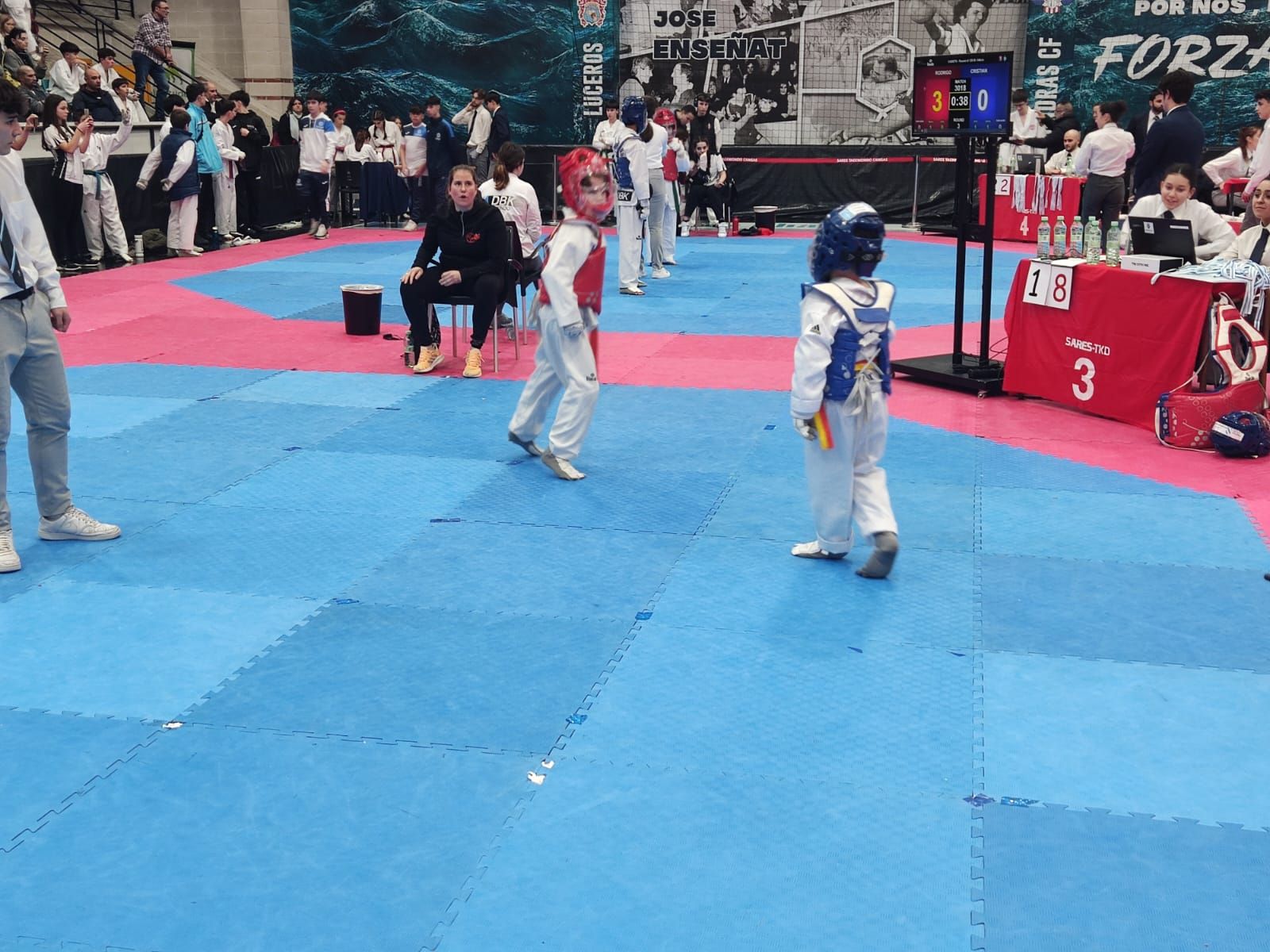 El Campeonato Gallego de Promesas y Veteranos llena O Gatañal de aficionados al taekwondo