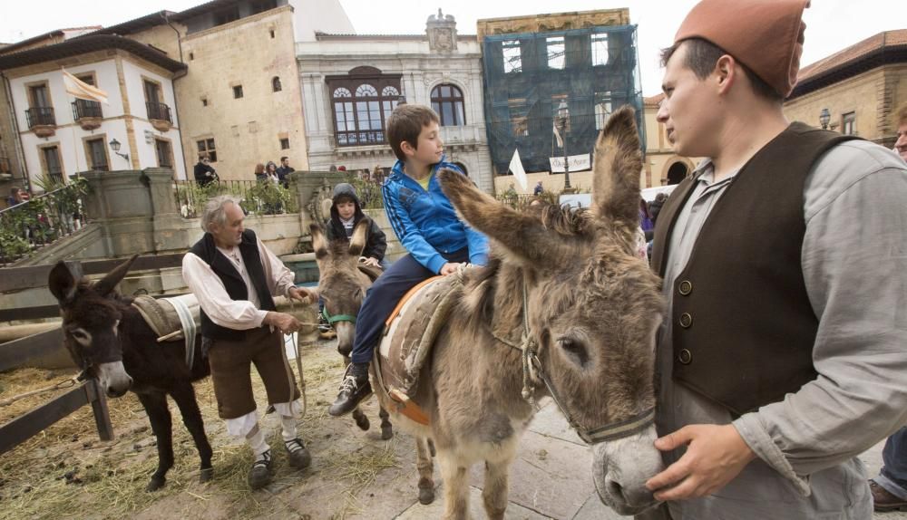 Feria de La Ascensión en la plaza de la Catedral de Oviedo