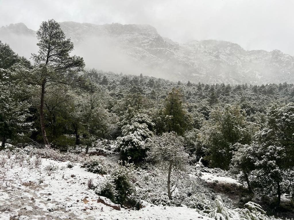 Mallorca registra la mayor nevada en cinco años