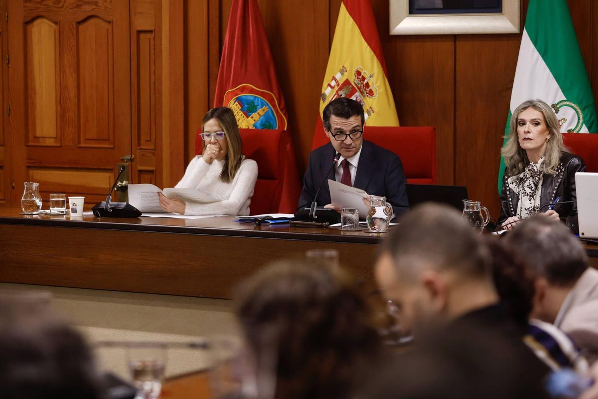 Pleno Ayuntamiento de Córdoba febrero. Ayuntamiento Manifestación de la plantilla de Hitachi, Policía local, La Comisión Coordinadora de la Plataforma de Afectados por los premios de jubilación en el Ayuntamiento de Córdoba, que afecta a más de 250 trabajadores jubilados