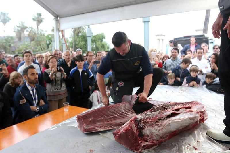 Ronqueo de atún rojo en la Plaza de la Marina