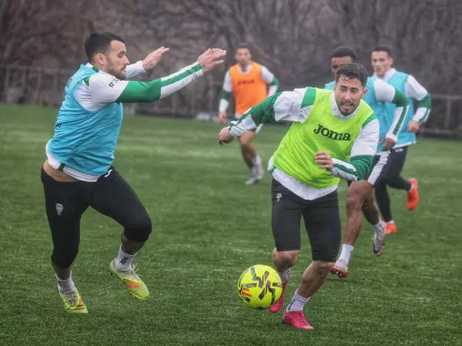 El Córdoba CF reabre su candidatura a todo frente al Leganés en El Arcángel