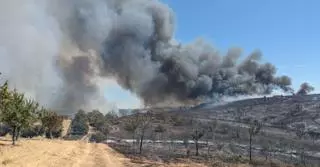 El fuego iniciado en Portugal amenaza a Villarino tras la Sierra y Latedo