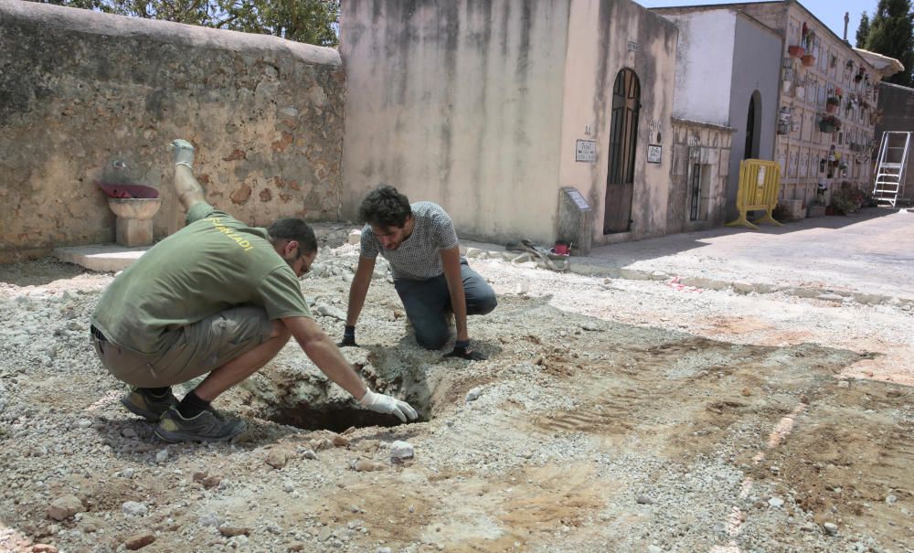 Excavan la fosa común de Alaró en busca de dos asesinados en 1936