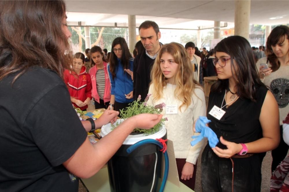 Semana de la Ciencia en el IES Jiménez de la Espad