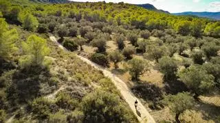 Los ecologistas piden a Mollà que Sierra Escalona sea Parque Natural antes del fin de la legislatura