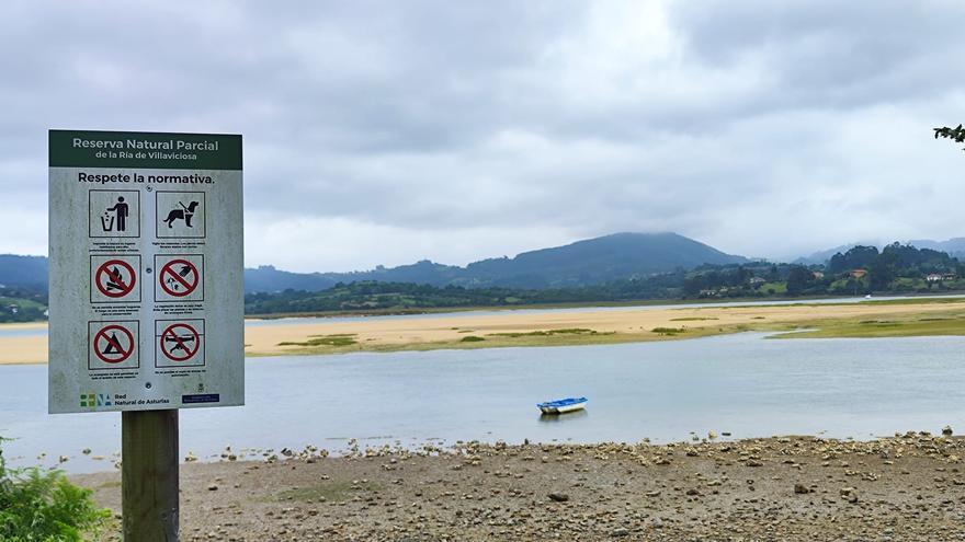 El Principado advierte de que todos los informes son &quot;favorables&quot; para la planta de almejas en la ría de Villaviciosa