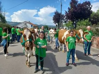 Espectáculo del campo en Llanera: el desfile de San Isidro llena las calles de la mejor tradición ganadera
