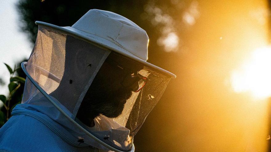 Día Mundial de la Miel: Mel Caramel y el hombre que aprendió a escuchar a las abejas