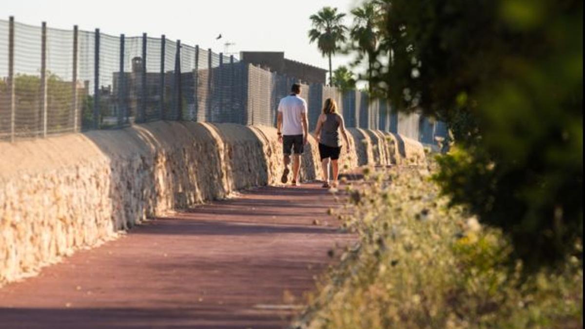 Una imagen del paseo entre Binissalem y Lloseta.