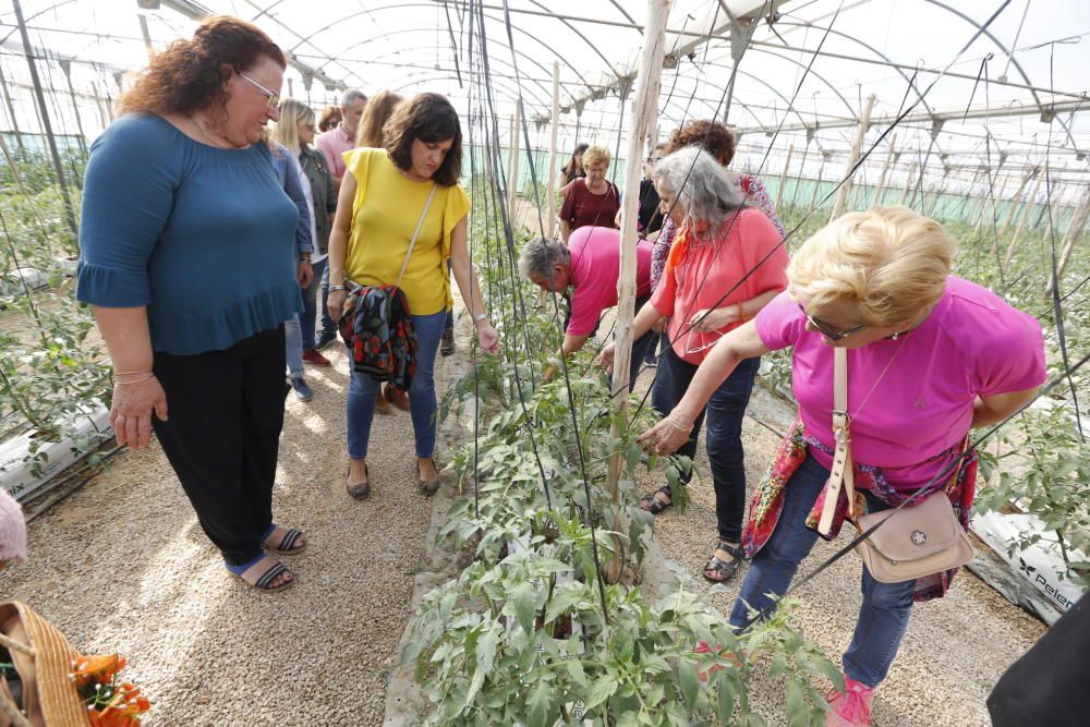 Elche celebra el Día de la Mujer Rural