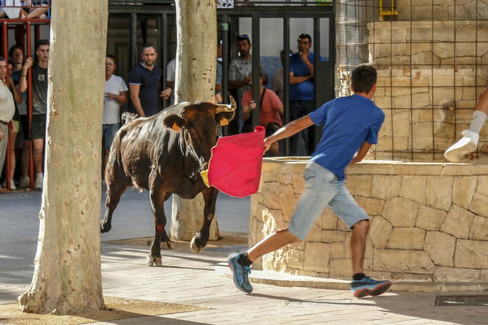 Fiestas de la Vaca de Castalla.