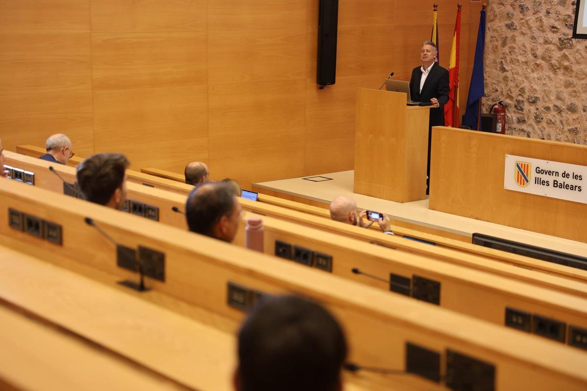 El experto fue el primer ponente de la 'Jornada IA Verda'.