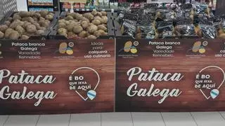 Vegalsa-Eroski comercializa dos millones de kilos de 'Pataca de Galicia' en su red comercial