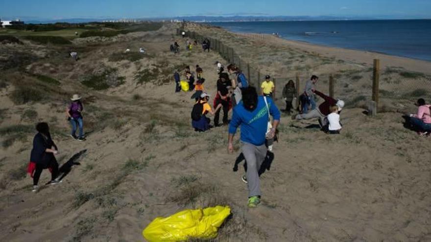 La ONG Xaloc convoca una jornada de limpieza de la playa junto al parador del Saler