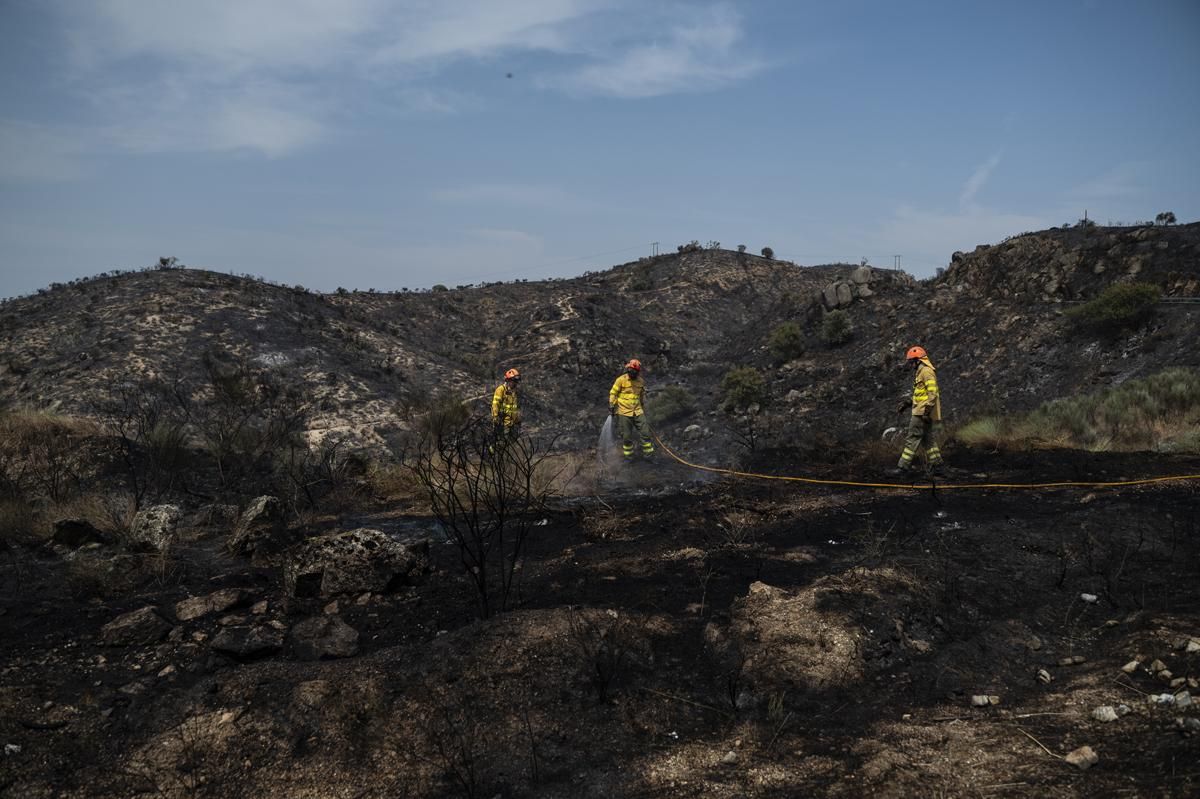 Fotogalería | Así ha sido el incendio forestal en Garrovillas de Alconetar