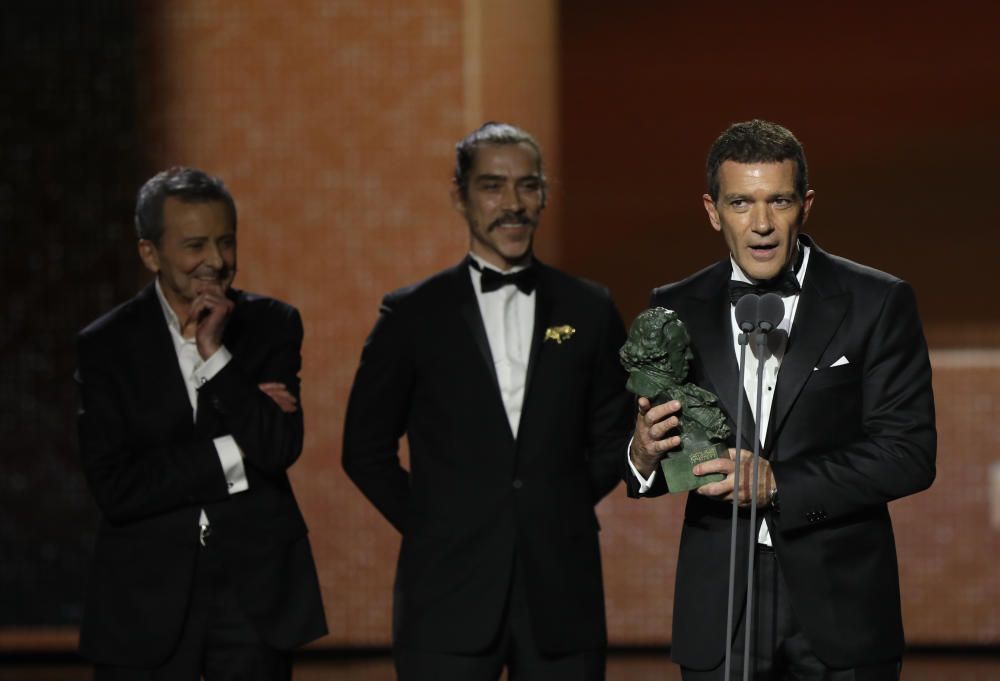 Antonio Banderas, Goya a Mejor Actor por 'Dolor y Gloria'.