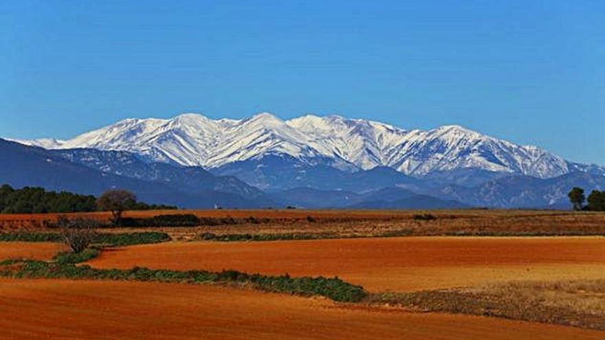 El Canigó, ben nevat per les últimes precipitacions d&#039;aquests darrers dies.