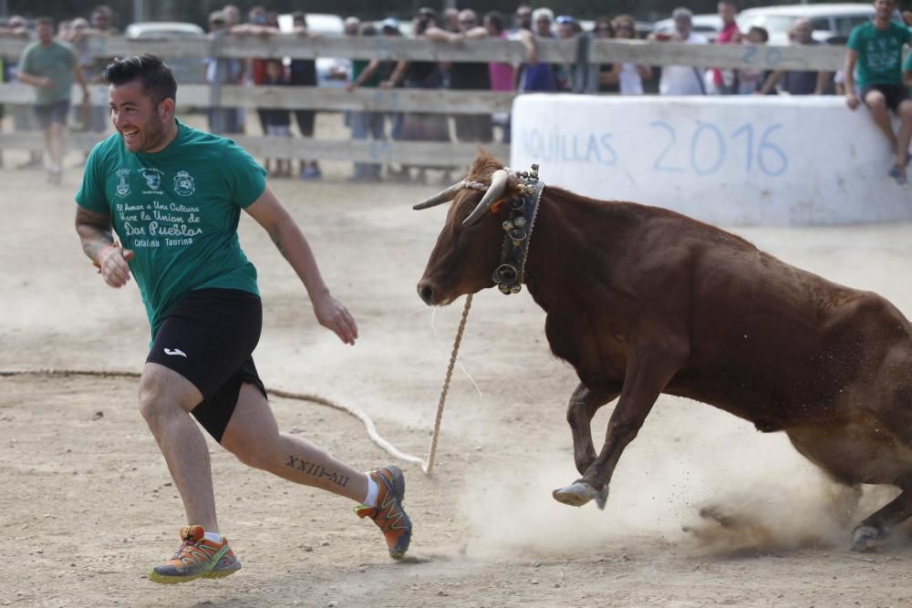 Vaquetes de Torroella de Montgrí