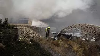 Arde una explotación de subtropicales en Vélez