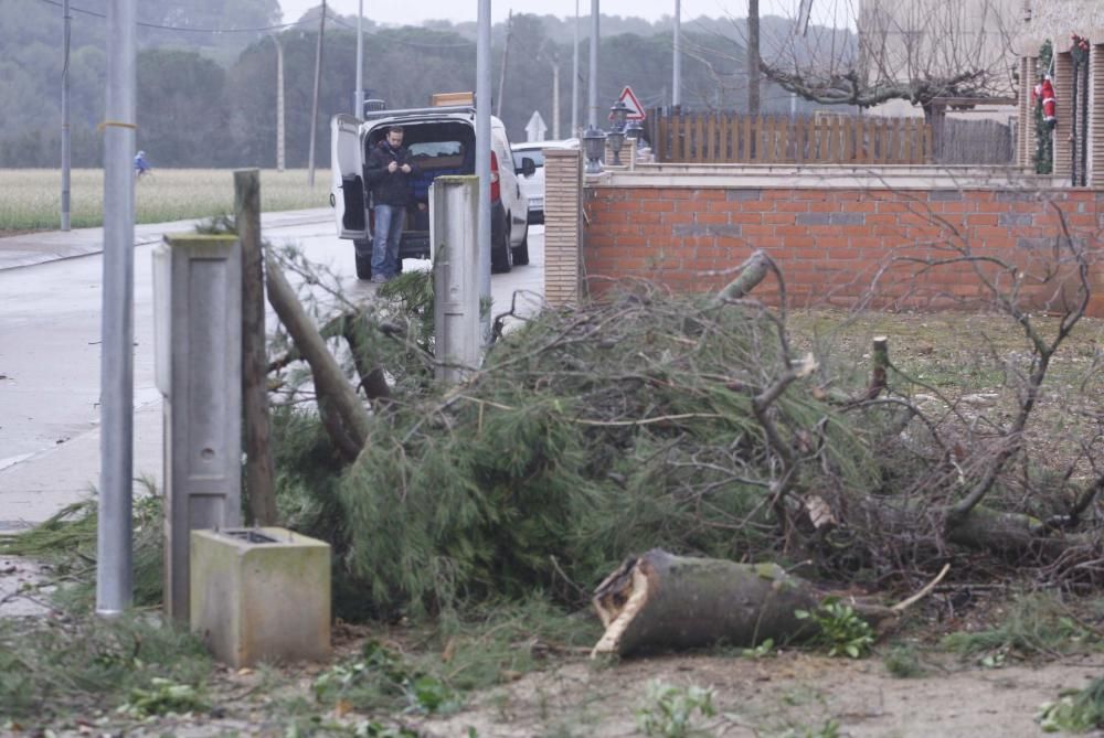 Un tornado deixa danys en cases, naus i vehicles a Cistella