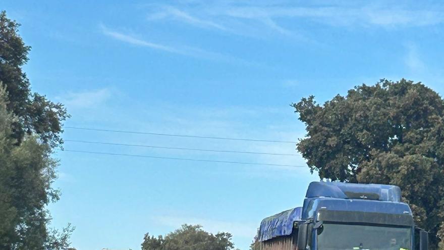 La Diputación destina 655.000 euros a asfaltar la carretera principal de acceso a Alameda