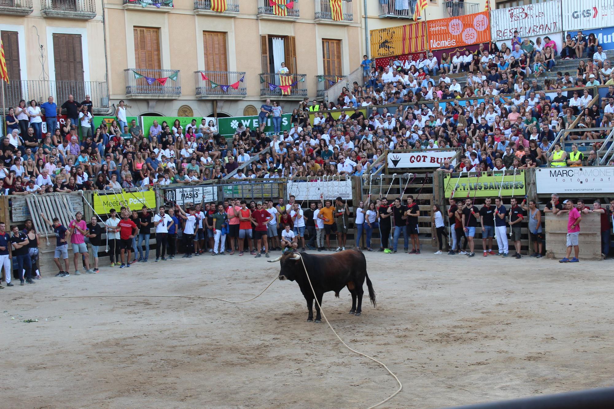 Correu bou