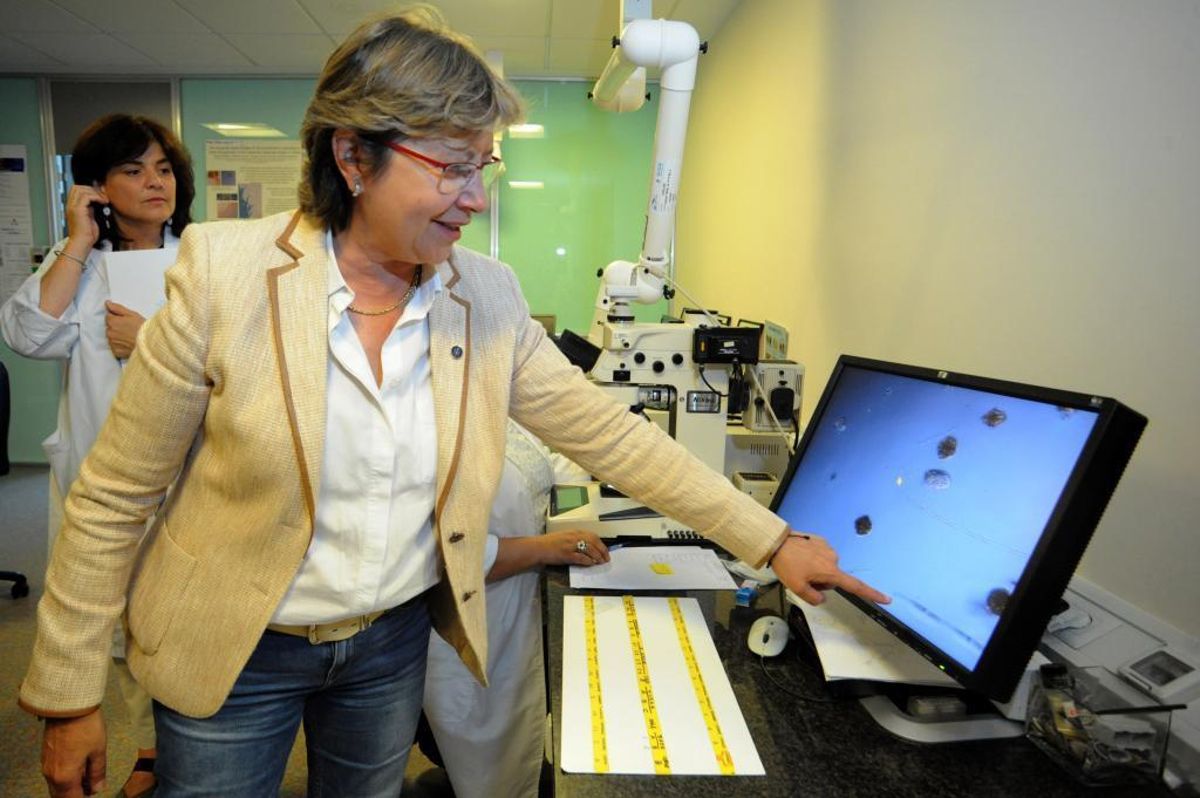 Galicia acelera el proceso de adaptación al método químico de control de biotoxinas impuesto por Europa
