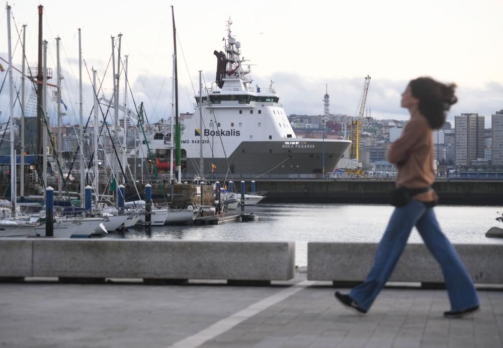 El Boka Pegasus, en A Coruña, ayudará al Blue Star