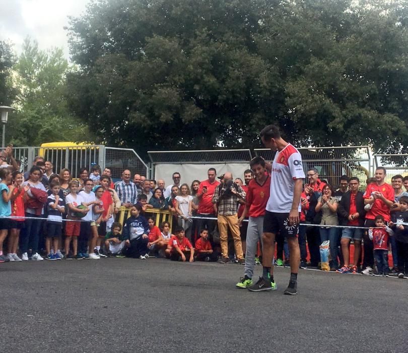 Fußballfans des RCD Mallorca hatten vor dem Spiel gegen Alcorcón am Sonntag (23.10.) Gelegenheit, zusammen mit dem Ex-NBA-Profi Steve Nash eine Runde Basketball spielen. Der Kanadier ist Aktionär beim Zweitligisten und will den Klub mit der Aktion unterstützen.