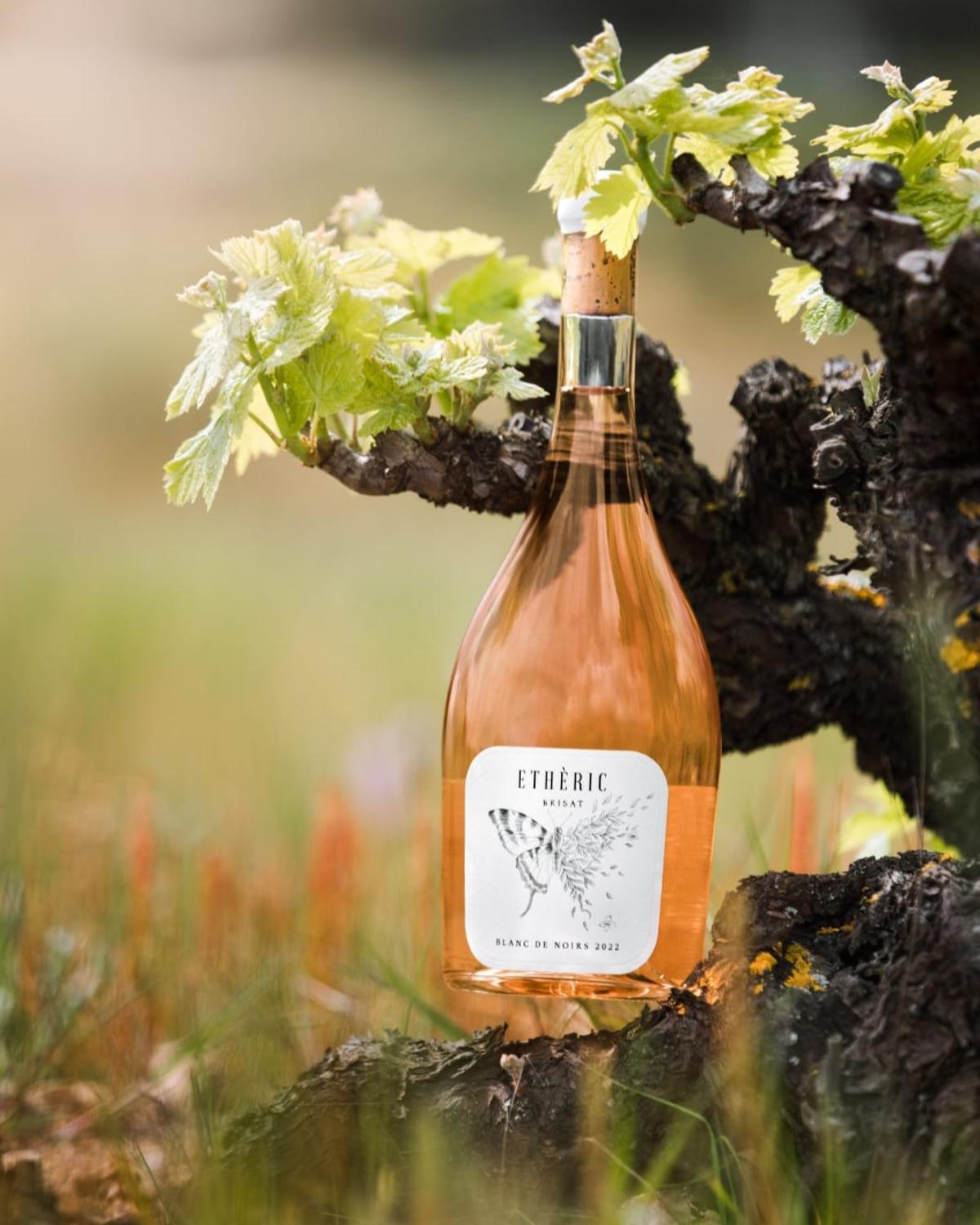 El vi Ethèric brisat.