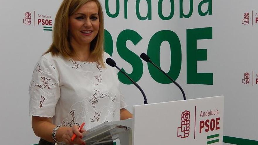 El PSOE asegura que los presupuestos andaluces serán &quot;eminentemente sociales&quot;