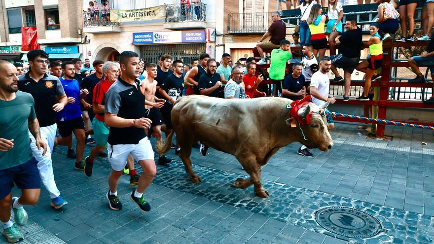 «Ha venido muchísima gente al Torico por la tensión de esta semana»