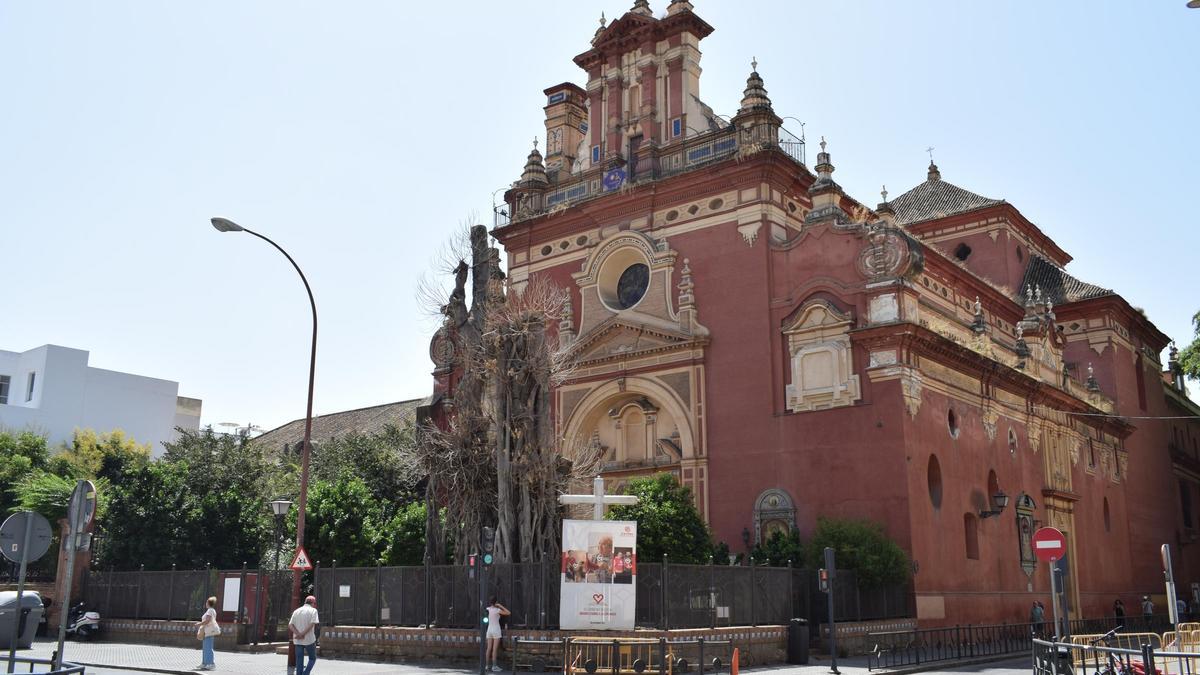 Ficus en la parroquia de San Jacinto