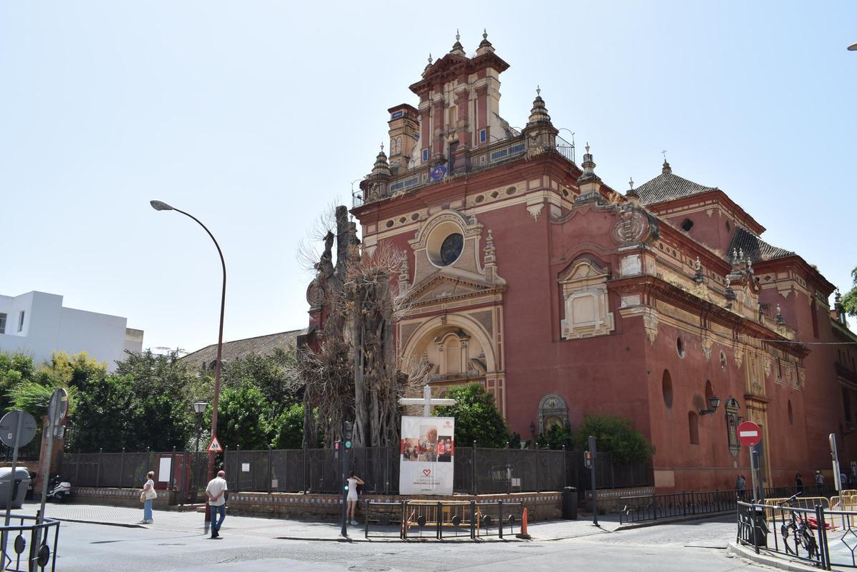 Ficus en la parroquia de San Jacinto