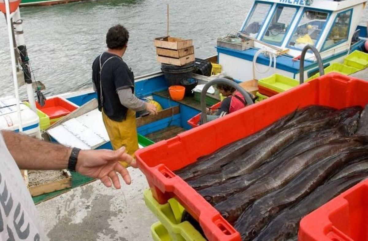 Una pasada descarga de cajas de merluzas “del pincho” en el muelle pesquero de Avilés.