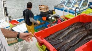 Una pasada descarga de cajas de merluzas “del pincho” en el muelle pesquero de Avilés.