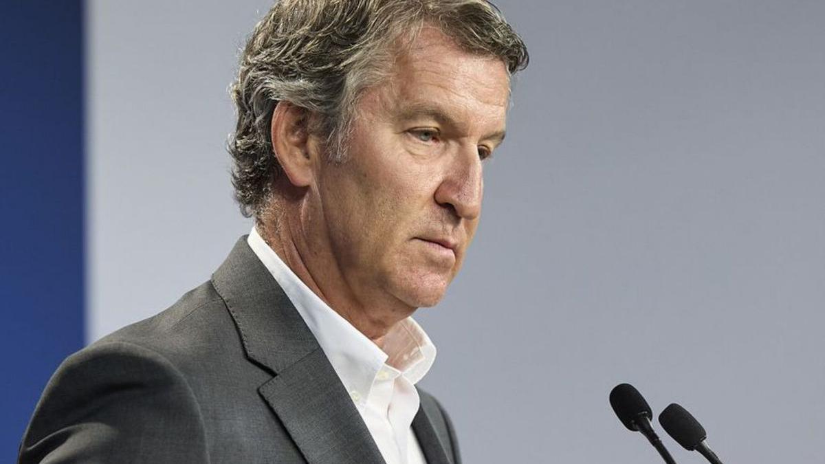 El president  del Partit Popular,  Alberto Núñez Feijóo.
 | JESÚS HELLÍN / EUROPA PRESS