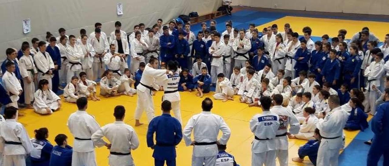 Participantes en la concentración de judo del Asalia Beya.