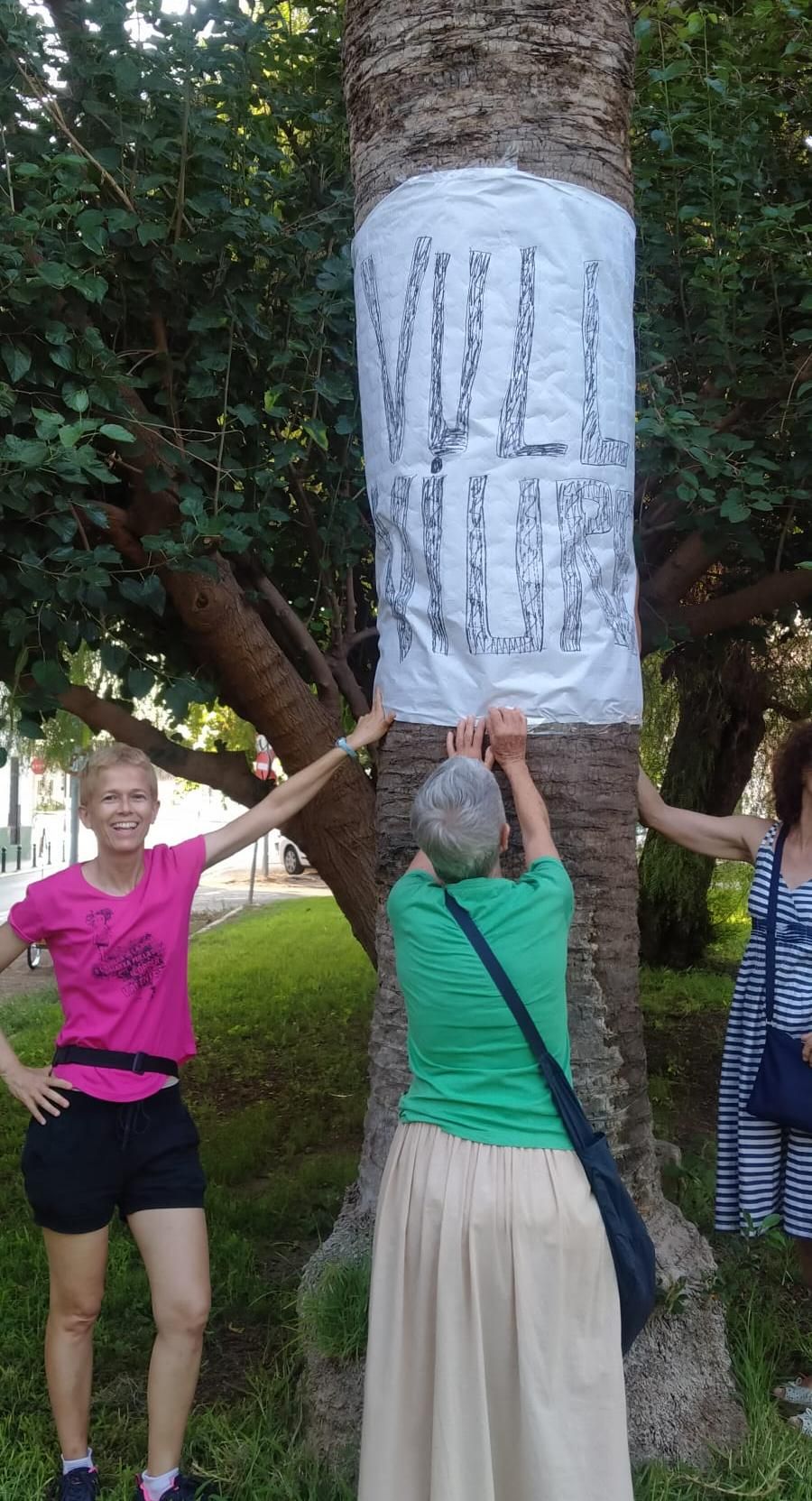 Los ecologistas se movilizan contra la tala de árboles centenarios en Sueca