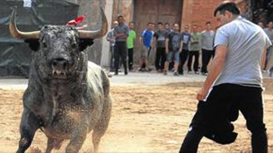 Los taurinos buscan un gran pacto para frenar la “agresión” a los toros