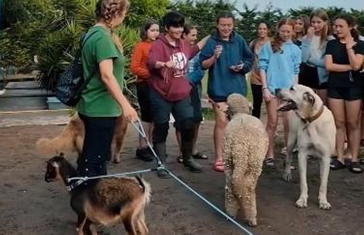 Estudiantes de A Guarda con las voluntarias de La Isla de Tali, entre perros, cabras y ovejas.