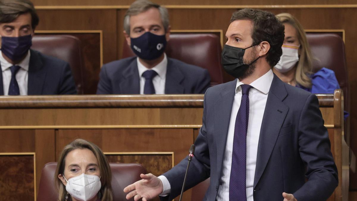 El líder del PP, Pablo Casado, interviene en una sesión de control al Gobierno en el Congreso de los Diputados.