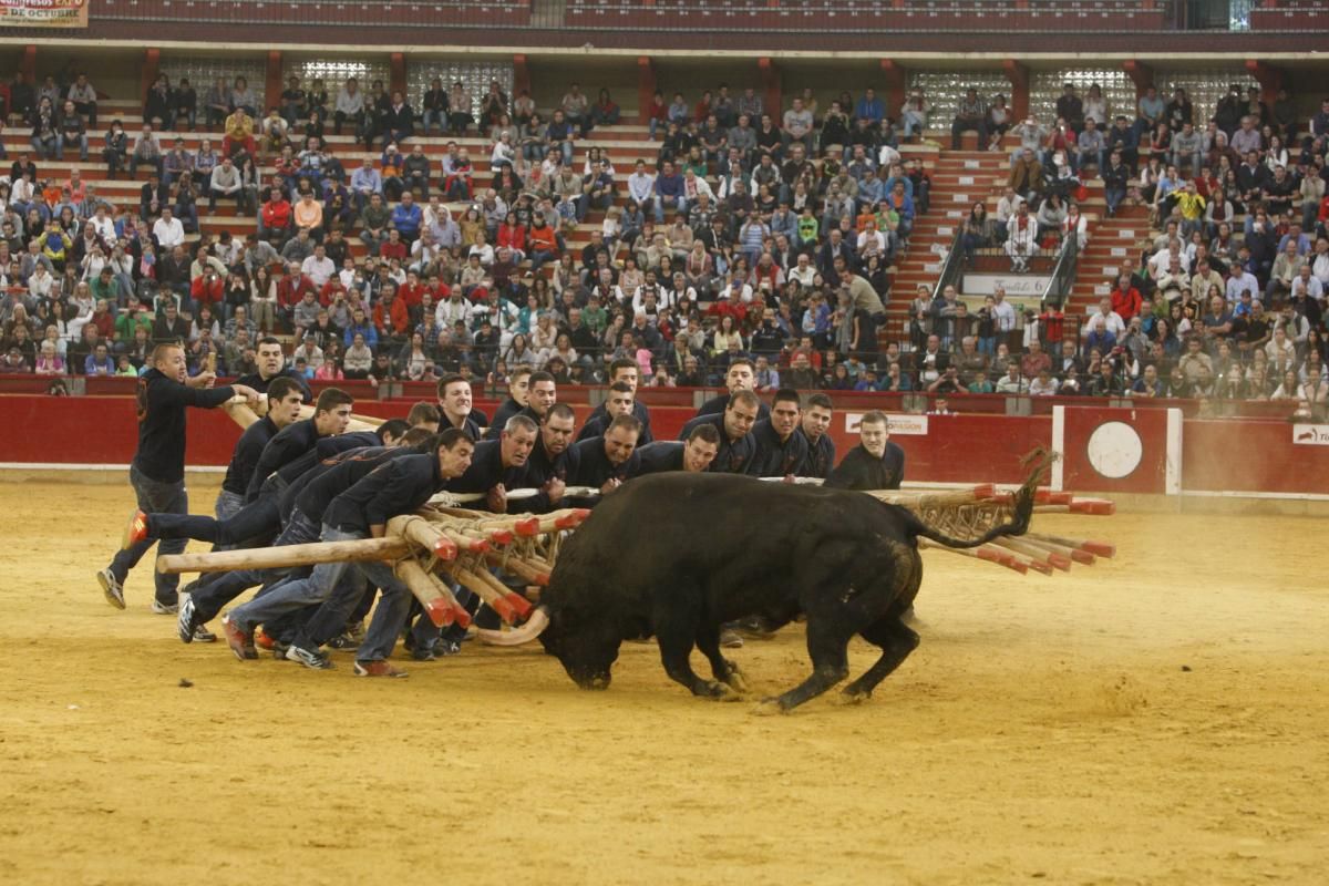 Los festejos taurinos