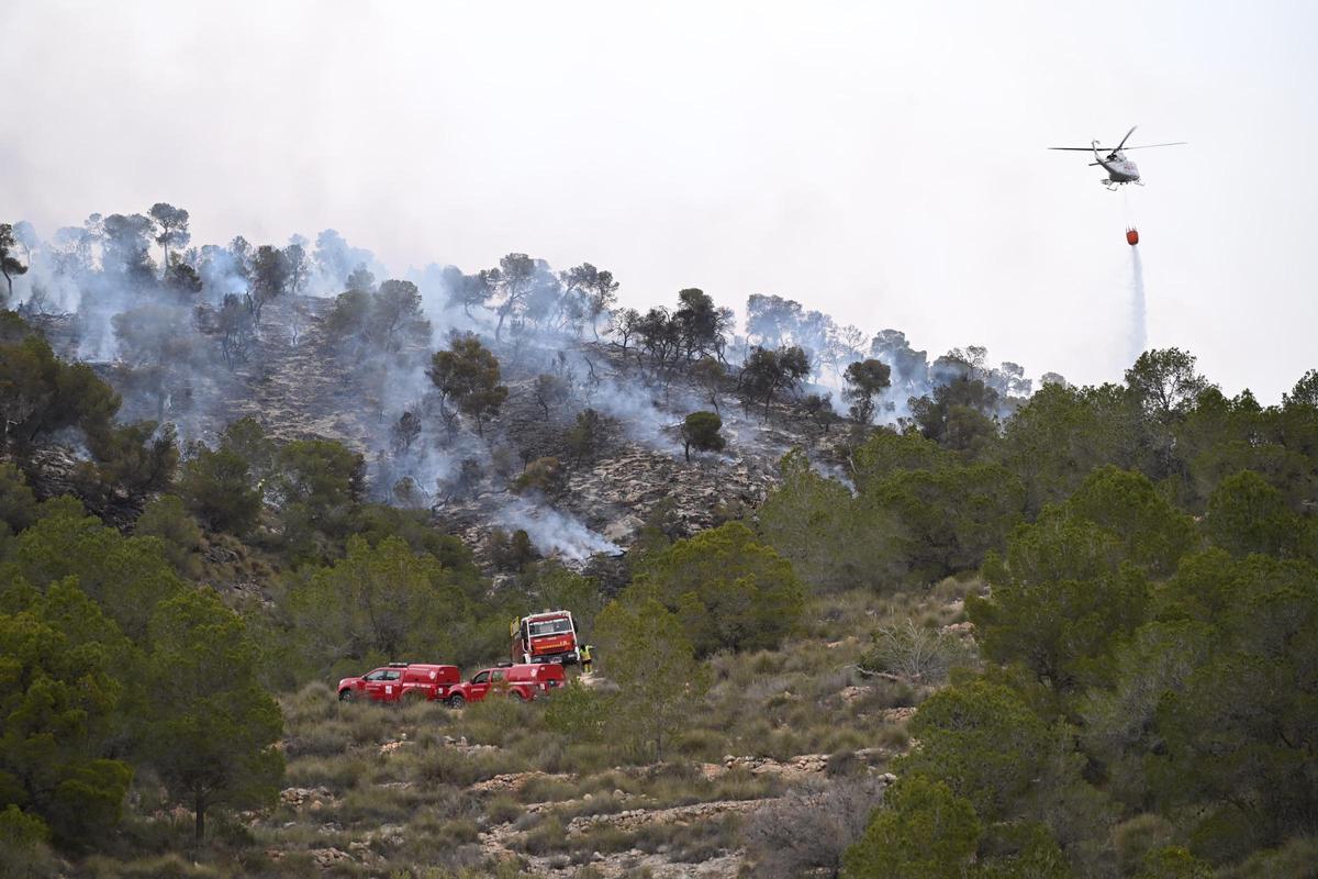 Fuego en Algueña: así está siendo el operativo para la extinción