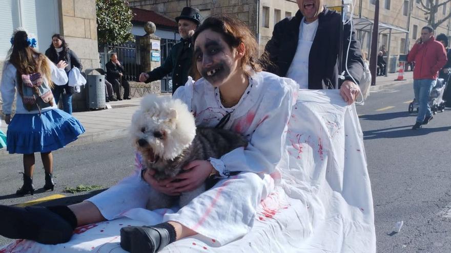 Luka, una ‘comendadora’ con mucho pedigrí